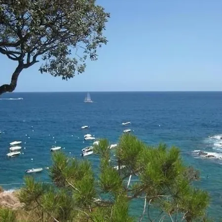 Gemuetliche Ferienwohnung Bei Am Meer Direkt Am Strand Apartment